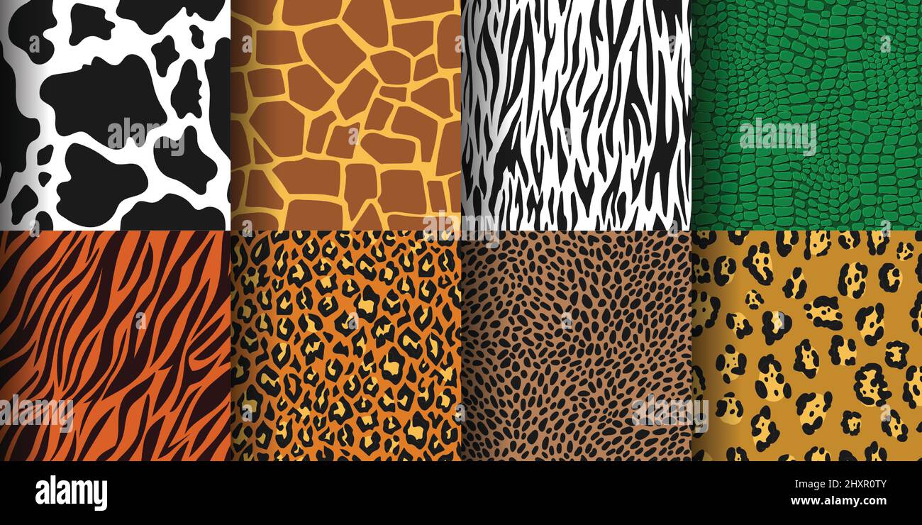 Zebra Leopard Print African Animal Skin Print Fur Texture