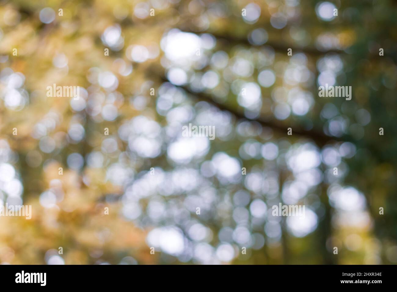 Bokeh art blury nature background Stock Photo - Alamy