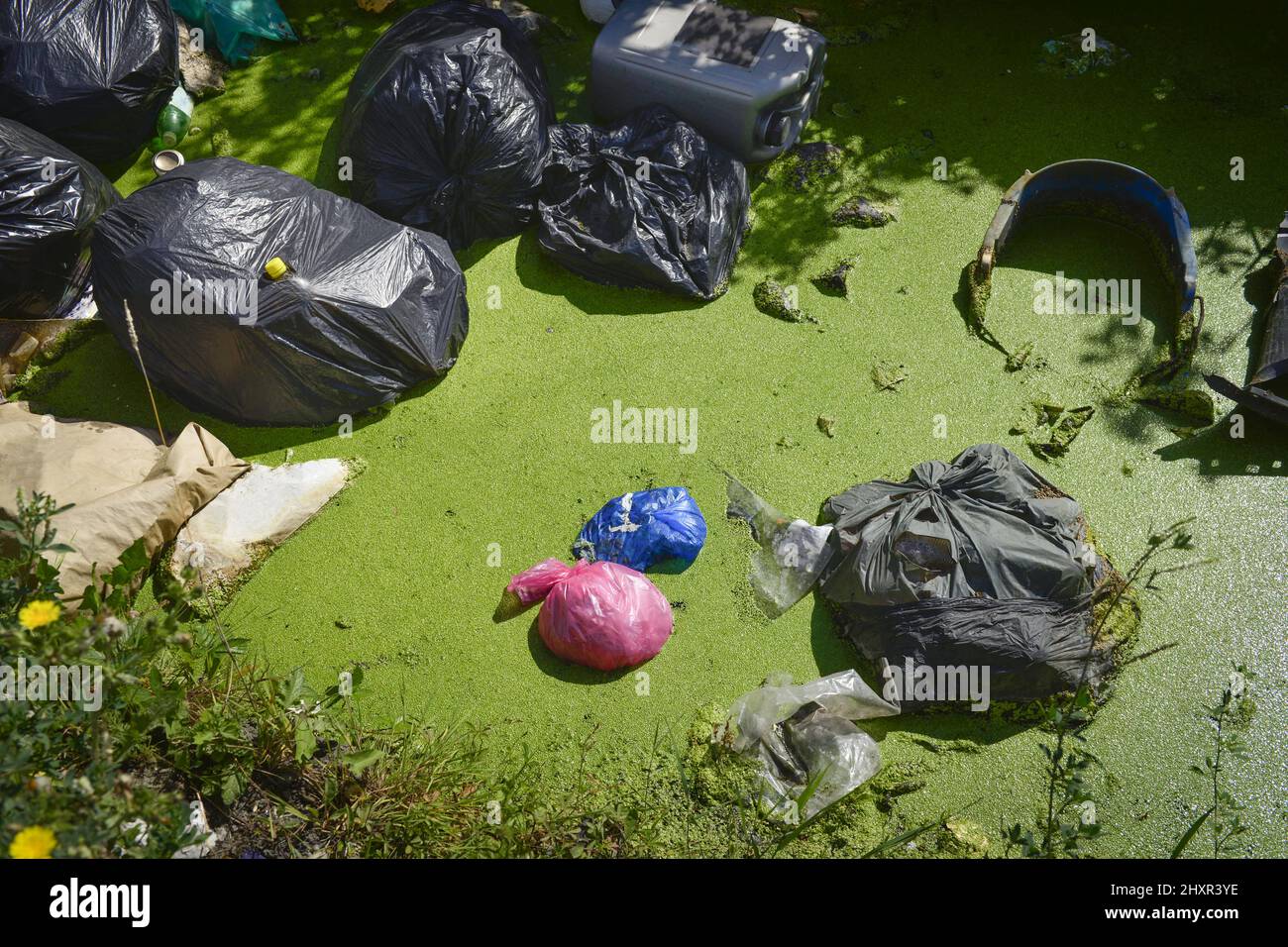 Garbage dumped in drainage ditch Stock Photo