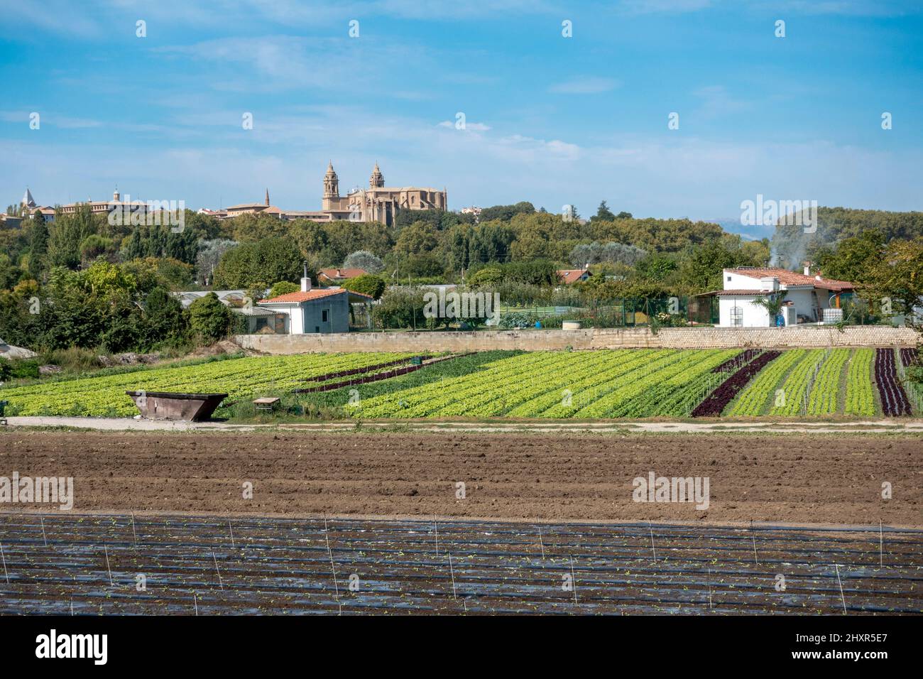View across a small salad farm towards Pamplona with Pamplona Cathedral in the distance in Navarre, Spain Stock Photo