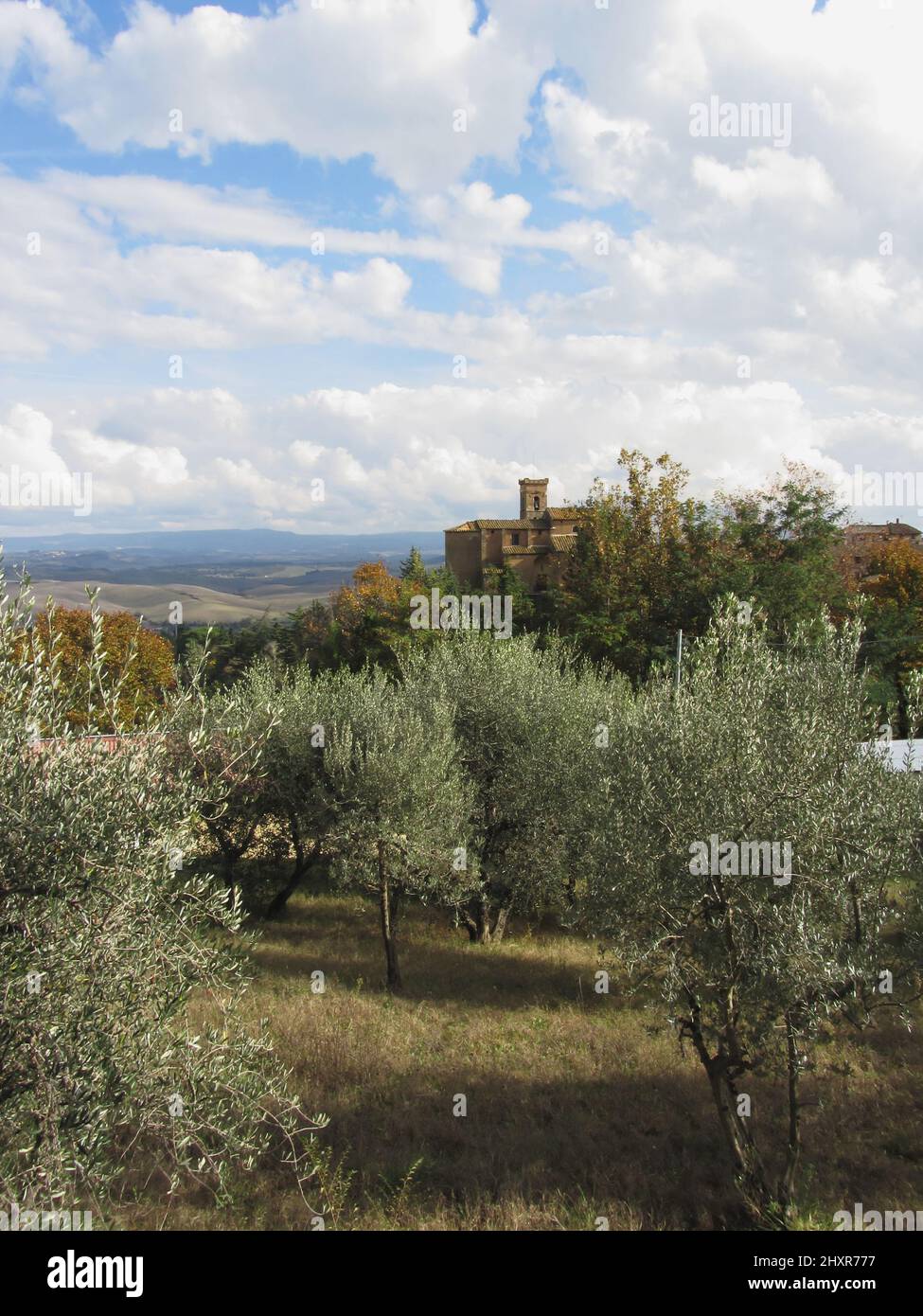 Typical Tuscany landscape Stock Photo - Alamy