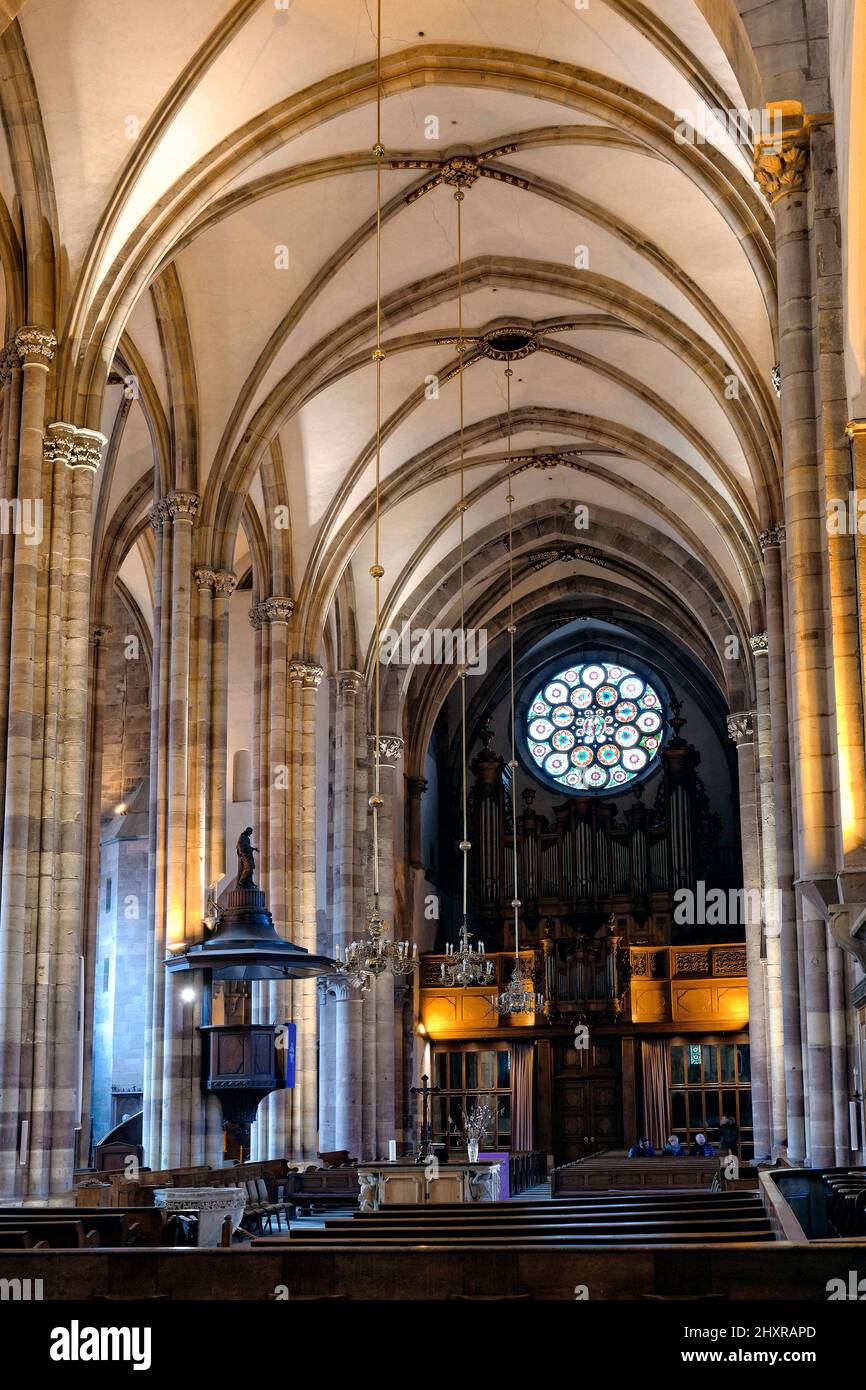 France, Strasbourg, Bas-Rhin, Saint Thomas church. Stock Photo
