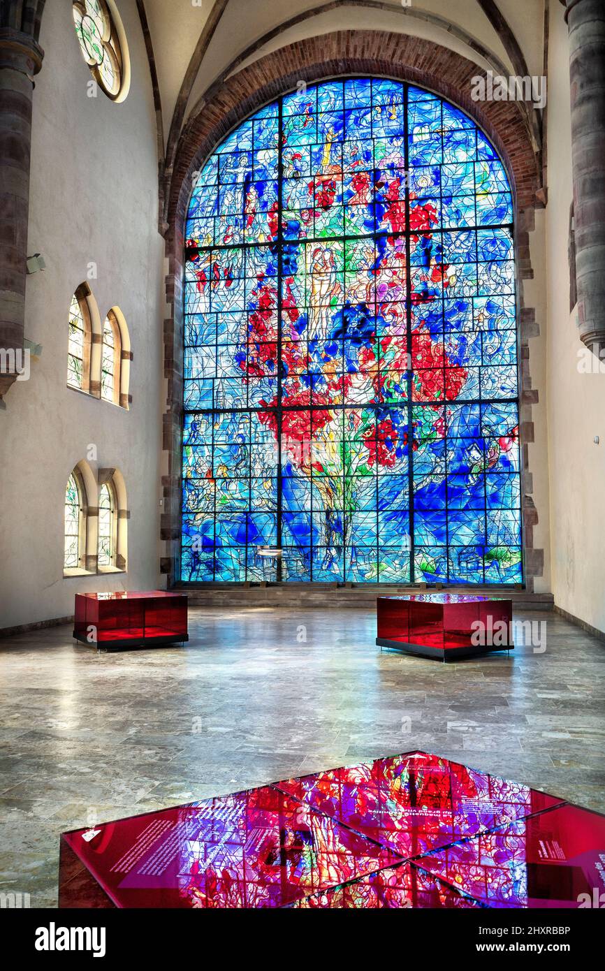 France, Sarrebourg, Moselle, the chapel of the Cordeliers, the stained glass by Marc Chagall. Stock Photo