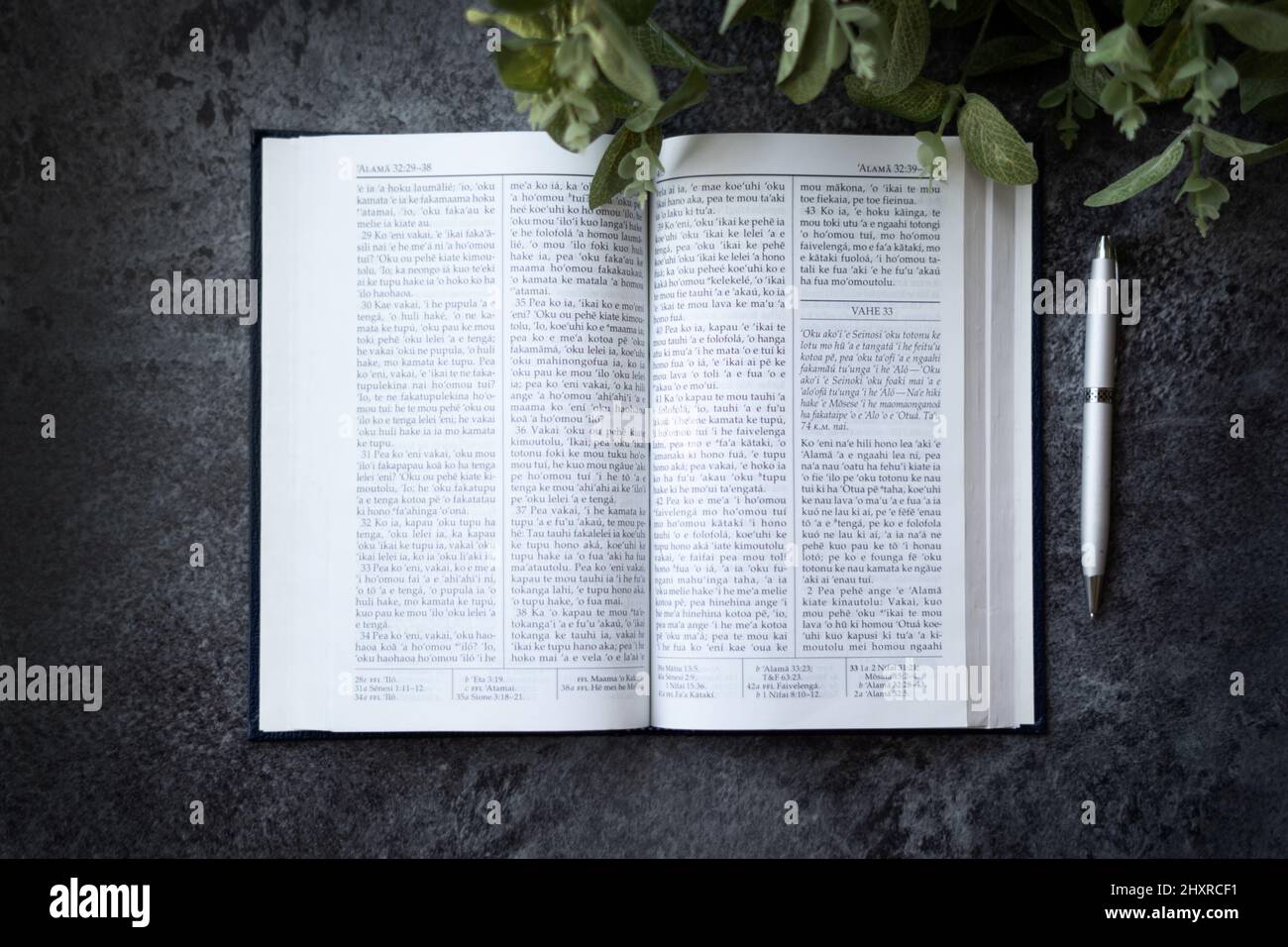 Closeup of the Book of Mormon. The religious text of the Latter Day