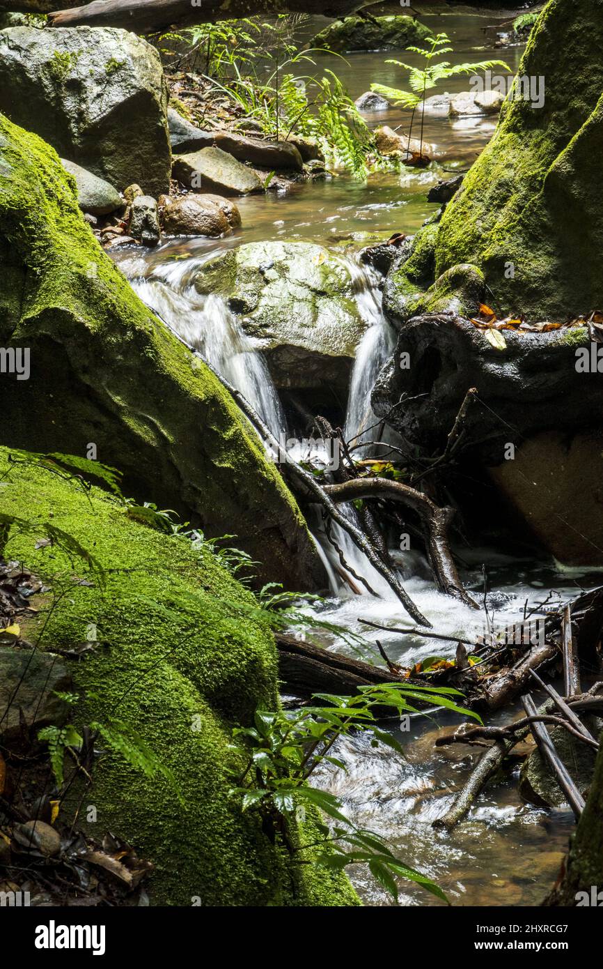 Smooth Stream Rocks Selective focus shot of rocks in a stream with smooth flowing water ...