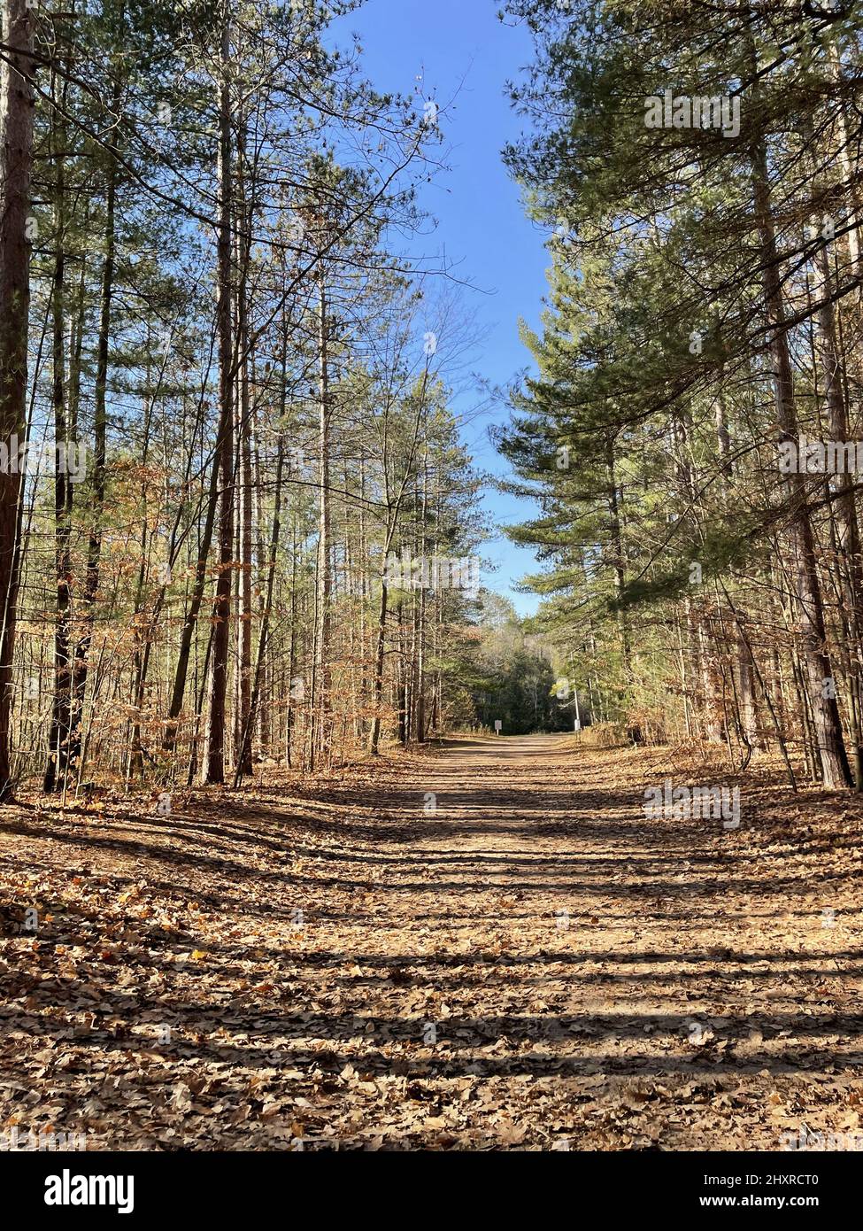 Vertical shot park footpath hi-res stock photography and images - Alamy