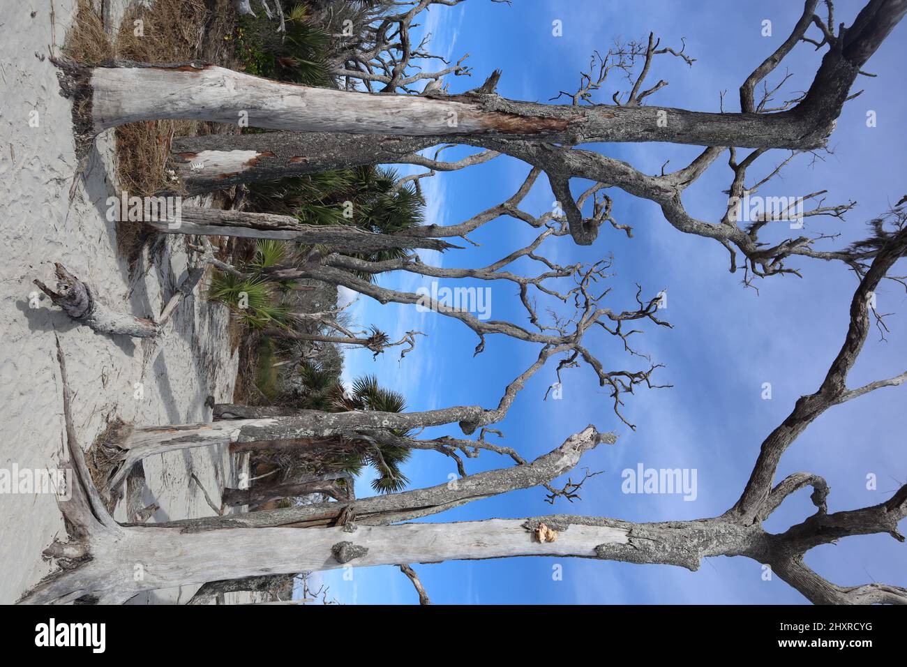 Vertical shot pathway through hi-res stock photography and images - Alamy
