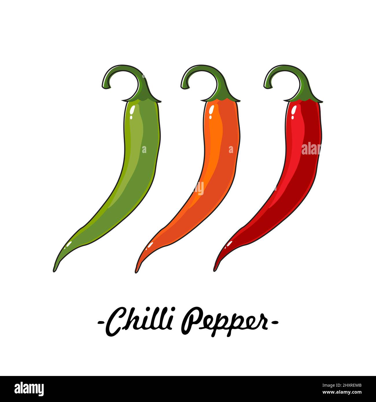 Three chili peppers of different colors on a white background Stock