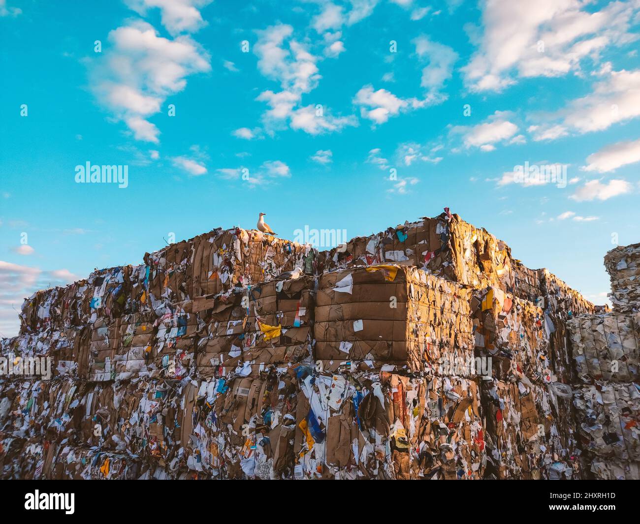 View of household waste recycling boxes in the daytime Stock Photo Alamy
