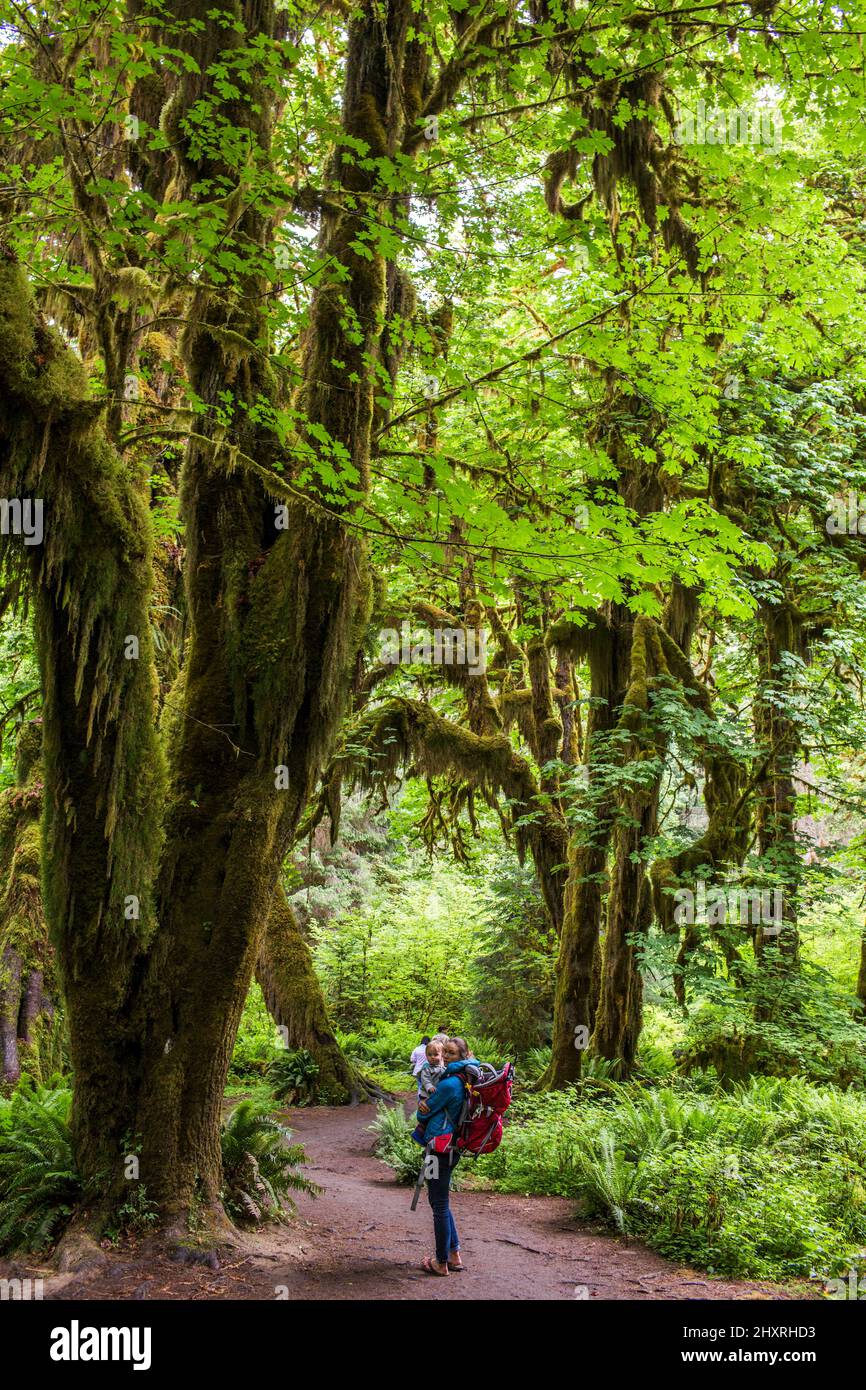 A young woman stands on a trail holding a toddler in a forest Stock Photo