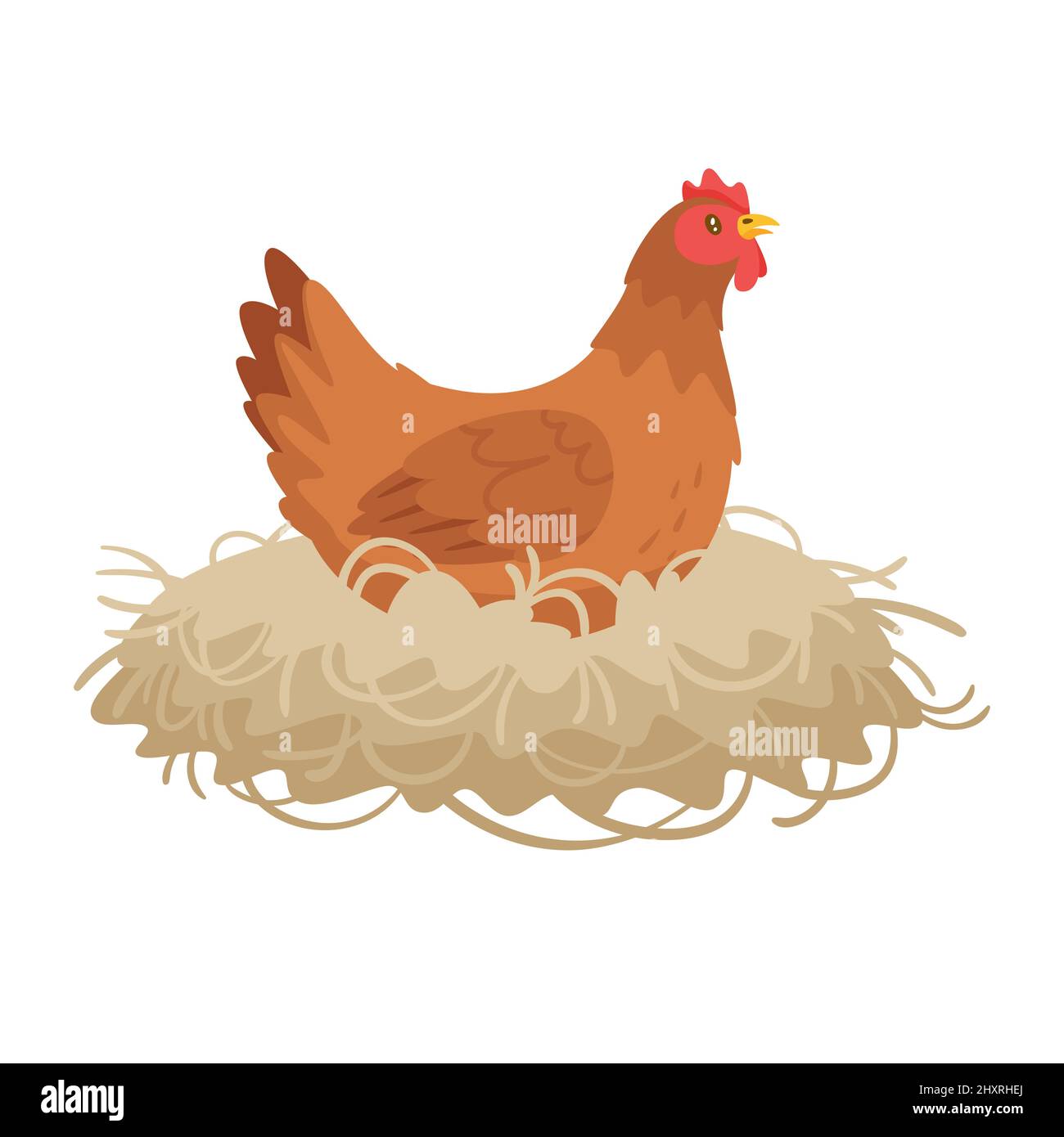 Red color hen sitting in the nest. Stock Vector
