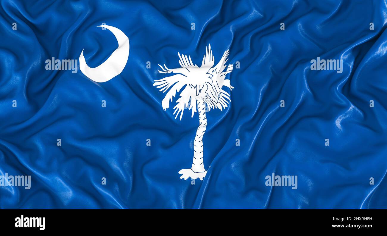 flag of the us state south carolina. 3d render Stock Photo - Alamy