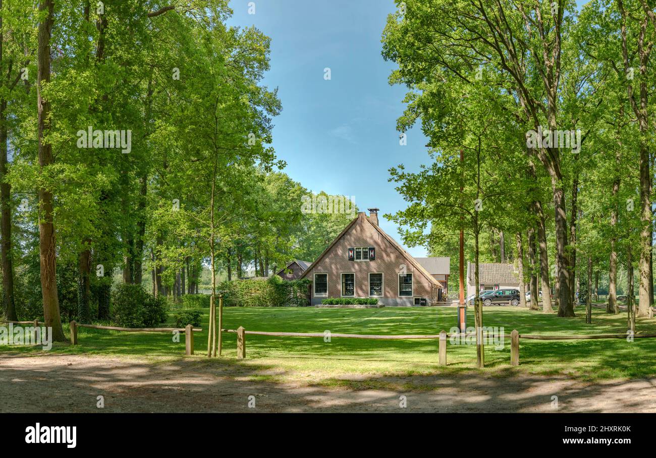 Groeneveld estate, farmhouse, Baarn,  Utrecht, Netherlands *** Local Caption ***  farm, forest, wood, trees, summer, Stock Photo