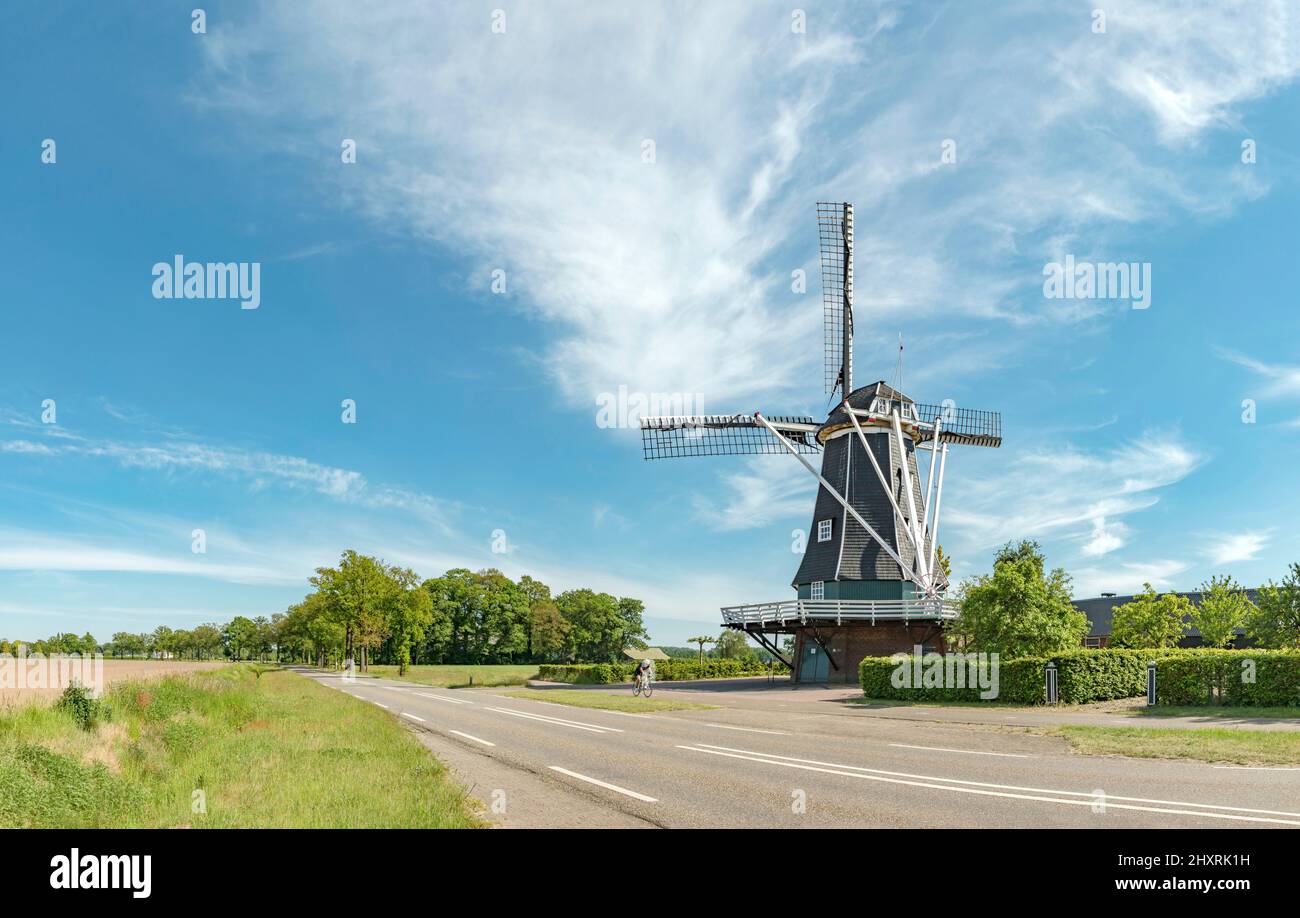 Windmill called De Benninkmolen, Doetinchem,  Gelderland, Netherlands *** Local Caption ***  windmill, field, meadow, trees, summer, Stock Photo