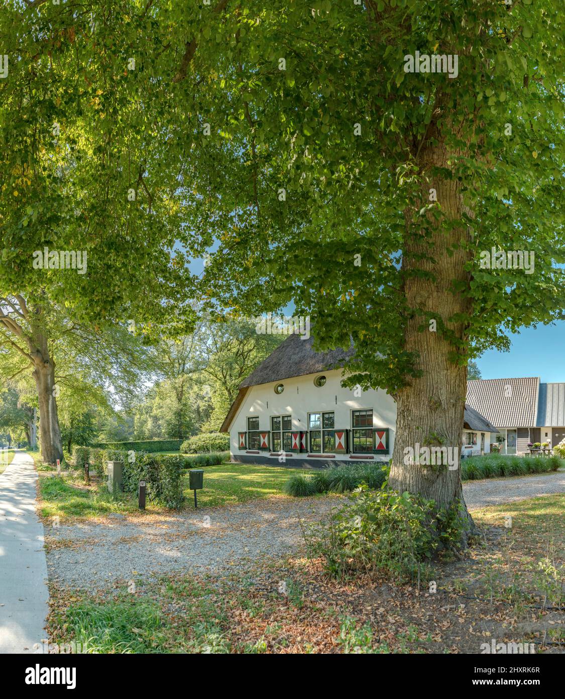 Farmhouse, Uddel,  Gelderland, Netherlands *** Local Caption ***  farm, forest, wood, trees, autumn, Stock Photo