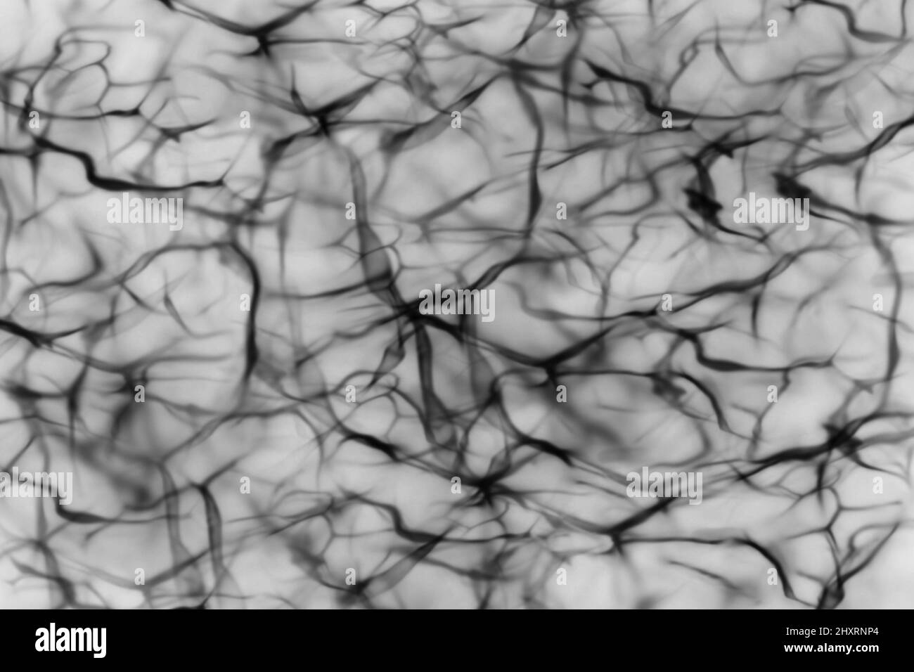 3D illustration of the black and white abstract marble background Stock ...
