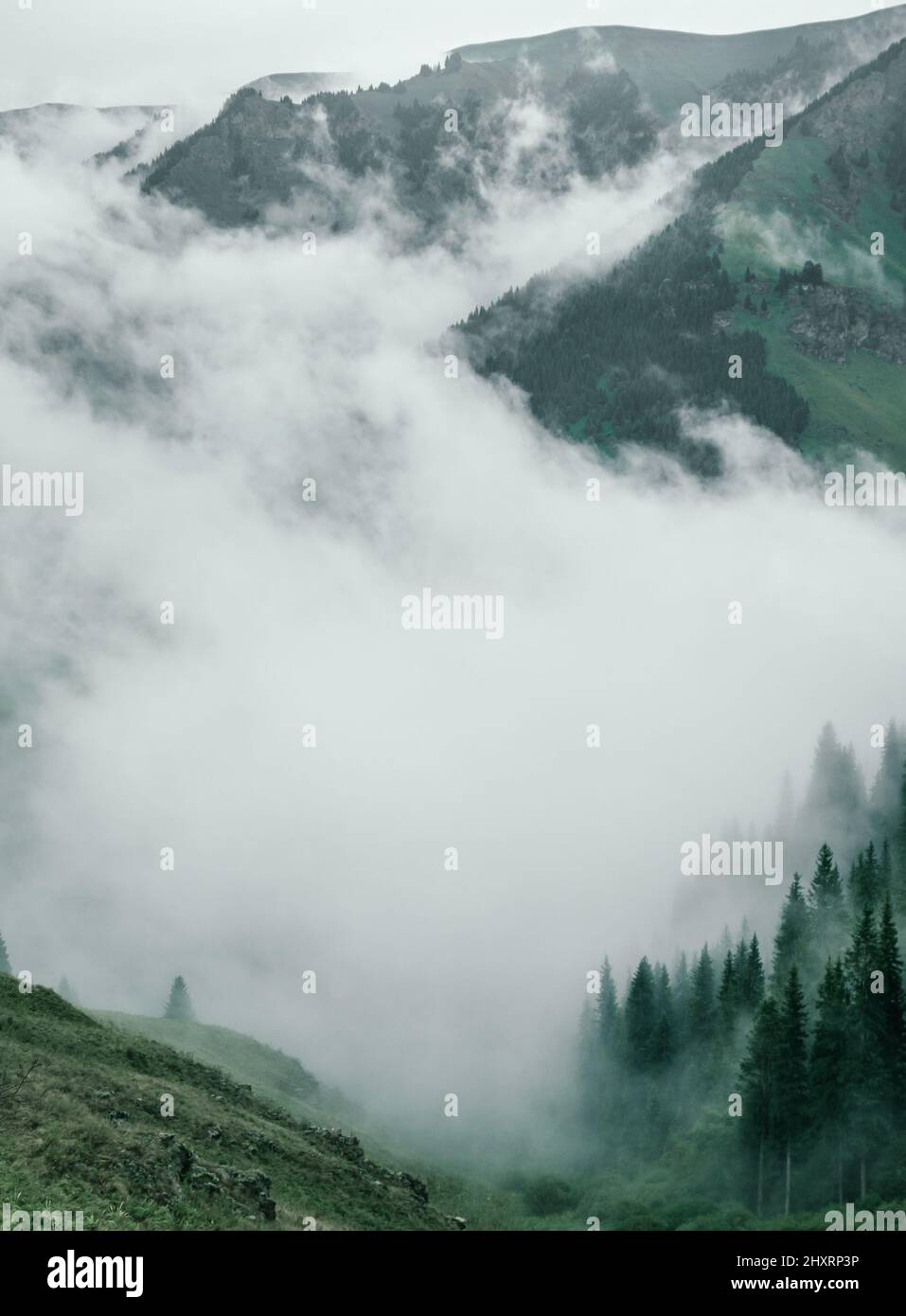 Heavy Mist Heavy mist over the green mountains with the dense forests Stock Photo ...