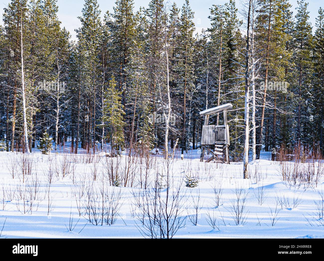 View of snowy forest in the village Stock Photo - Alamy