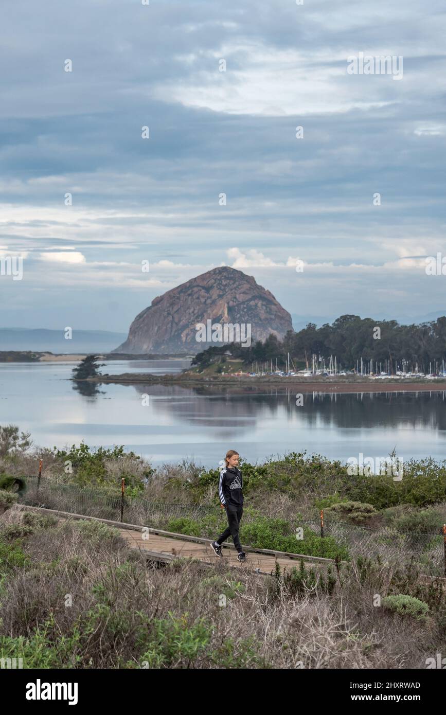 Boy walking boardwalk path at the edge of Morro Bay, through El Moro Elfin Forest nature preserve with Morro Rock in distance and reflections on water Stock Photo