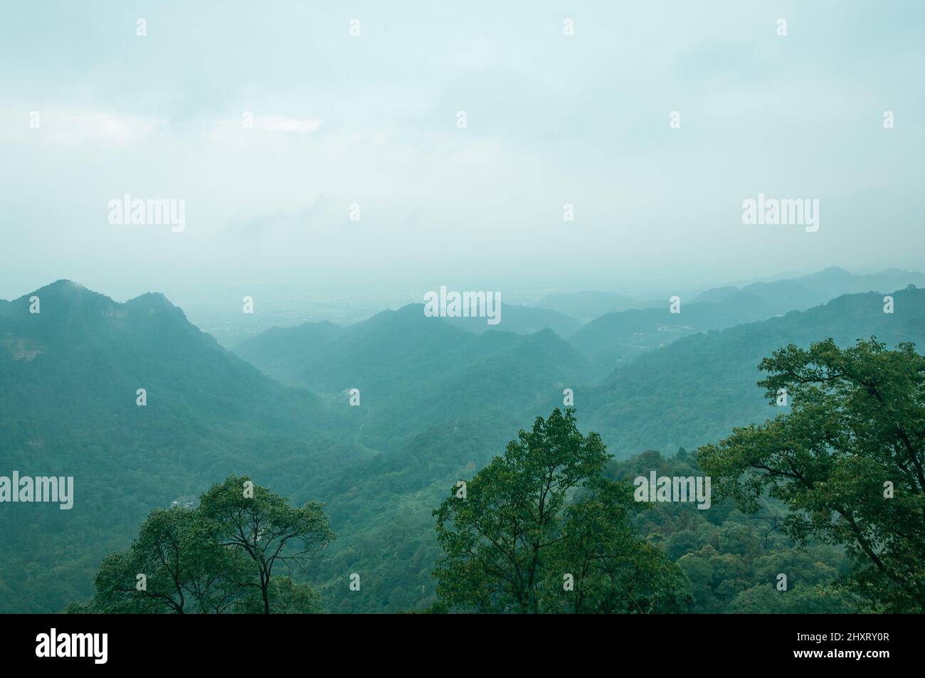 a photo of foggy tree covered mountain Stock Photo - Alamy