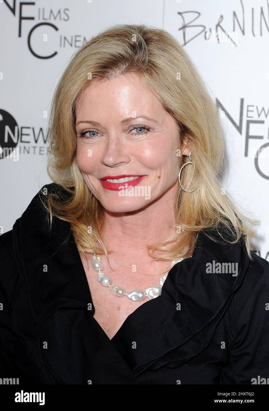 Sheree J. Wilson at the Los Angeles Premiere of 'Burning Palms' at the Arclight Hollyood Theatre on January 12, 2011 in Hollywood, California. Stock Photo