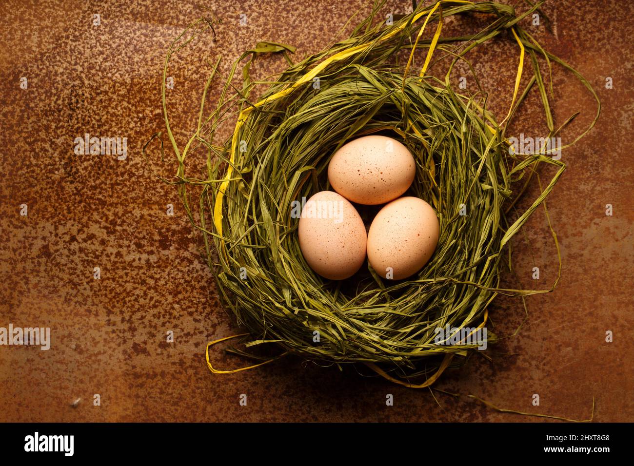 Chicken eggs in the nest on a metallic background. Easter concept in a