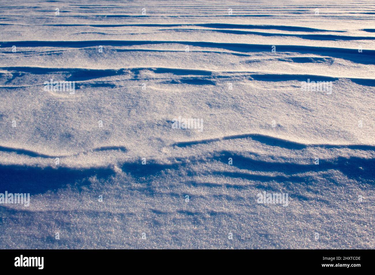 Light and shadow across waves of snow Stock Photo
