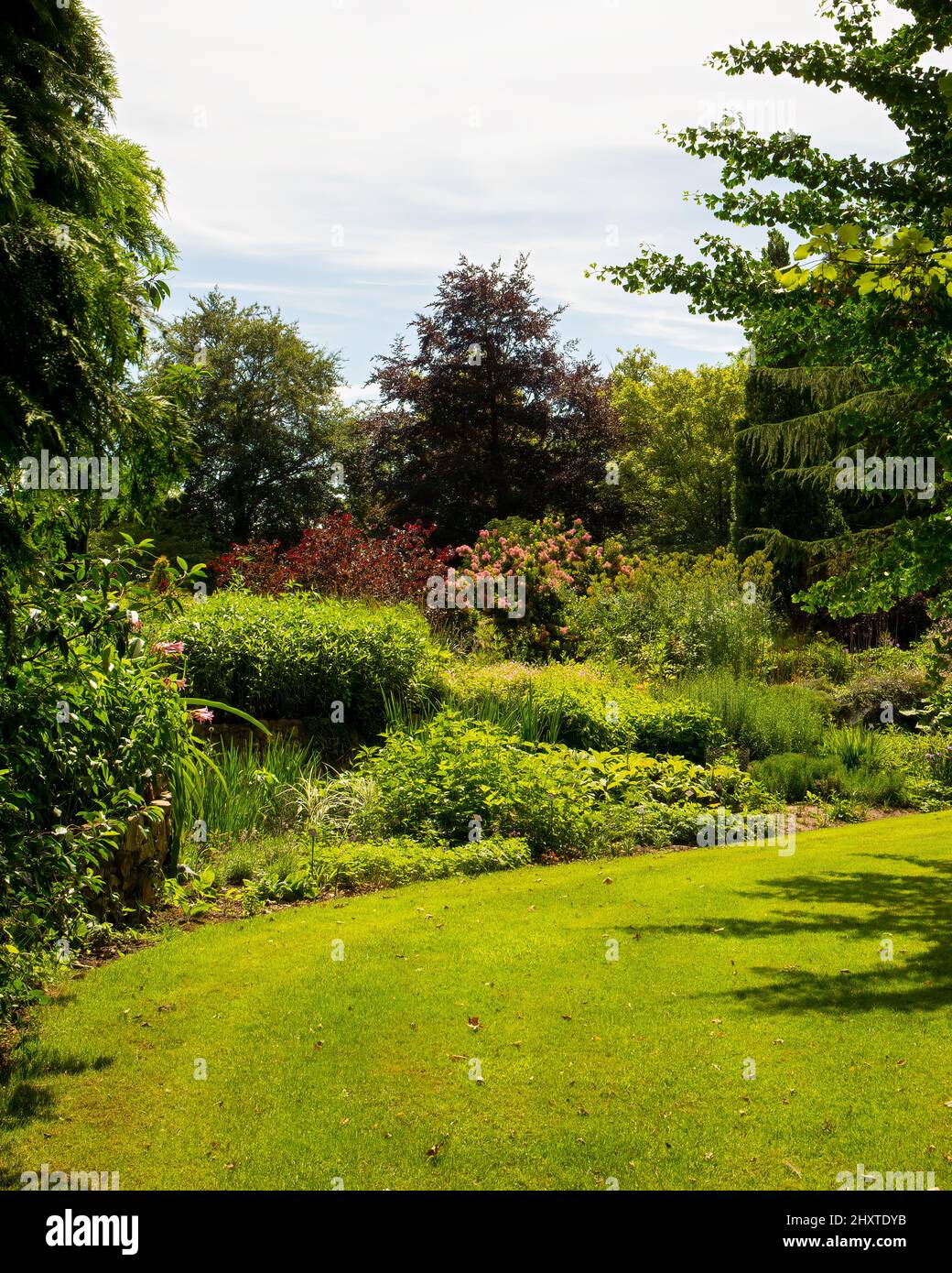 Vertical shot lawn trees hi-res stock photography and images - Alamy