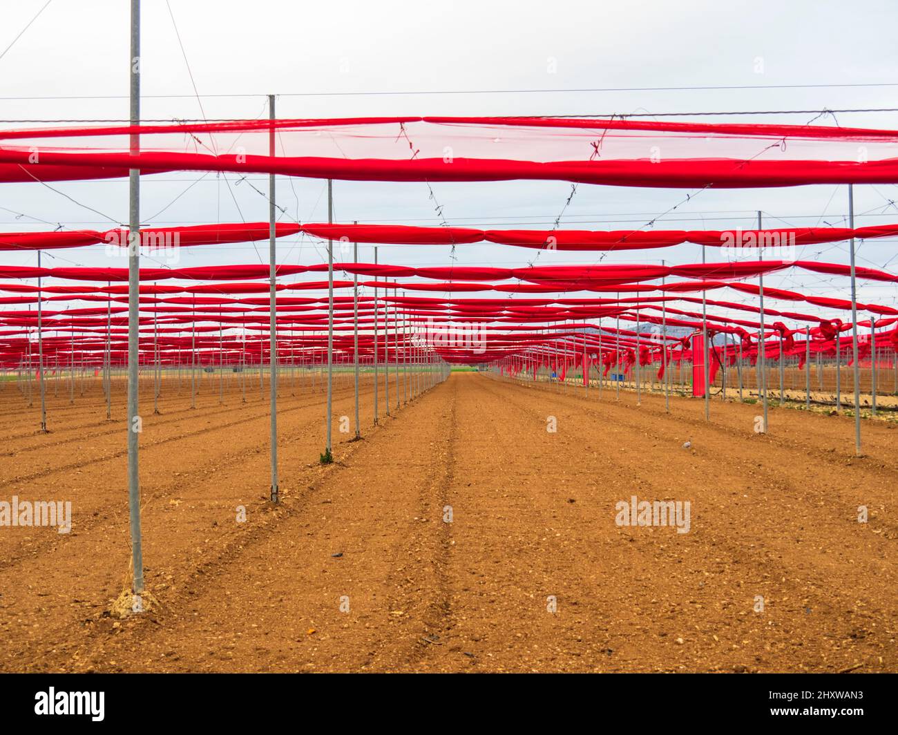 Greenhouse prepared for planting Stock Photo - Alamy