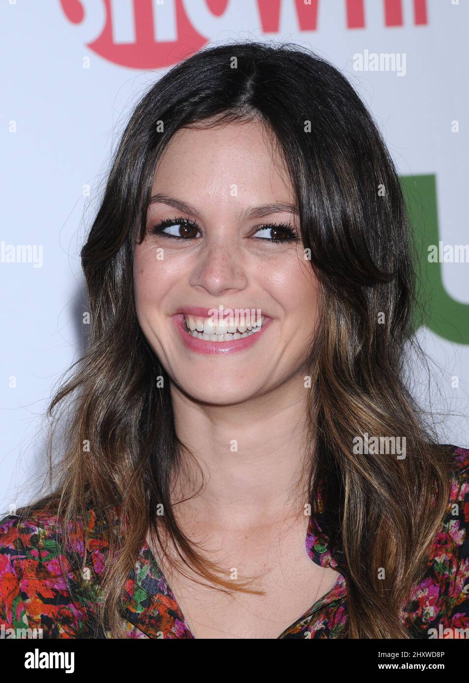 Rachel Bilson during the CBS,The CW And Showtime TCA Party held at The ...