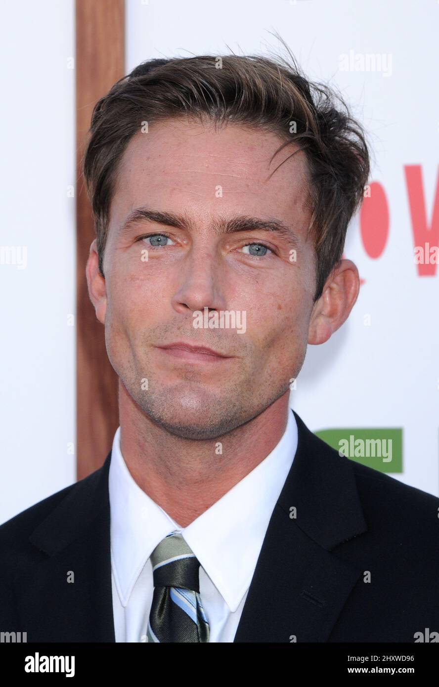 Desmond Harrington during the CBS,The CW And Showtime TCA Party held at