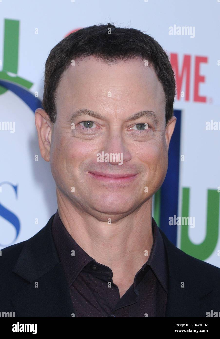 Gary Sinise during the CBS,The CW And Showtime TCA Party held at The Pagoda, California Stock Photo