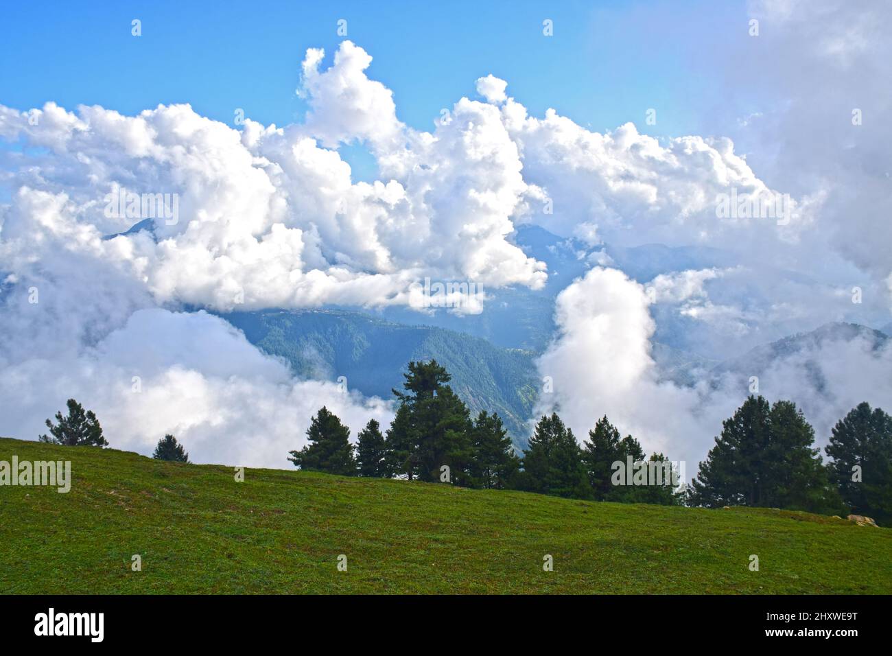 An aerial shot of a beautiful forest on a sunny summer day Stock Photo ...