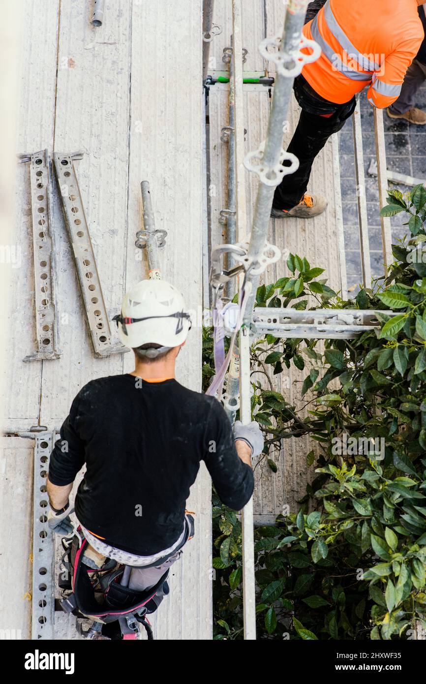 Shot of workers working with respective harness standards in the