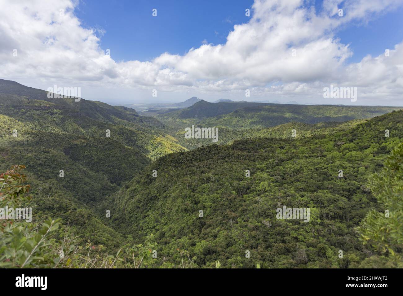 Of a forest valley full of mountains and hills Stock Photo - Alamy