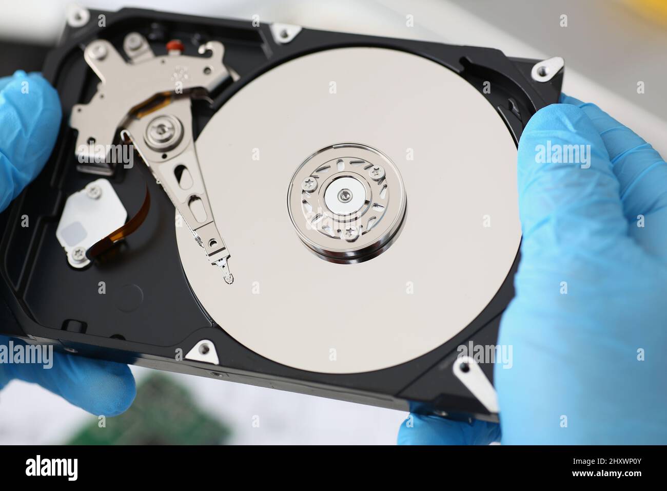 Handyman hold disassembled hard drive from computer, hdd and reader Stock Photo