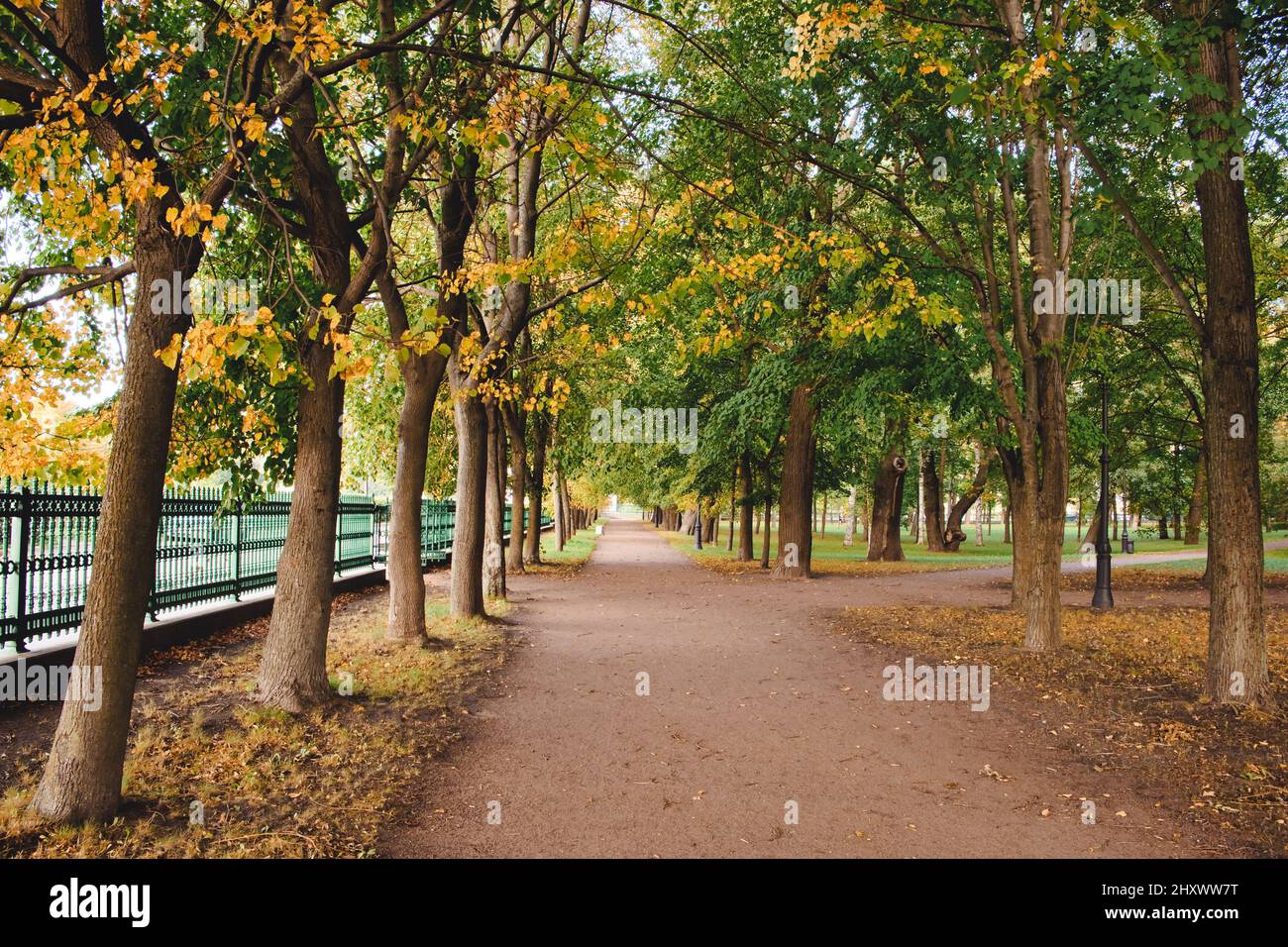 Autumn scene in park with yellow trees and sun light. Fall in the city ...