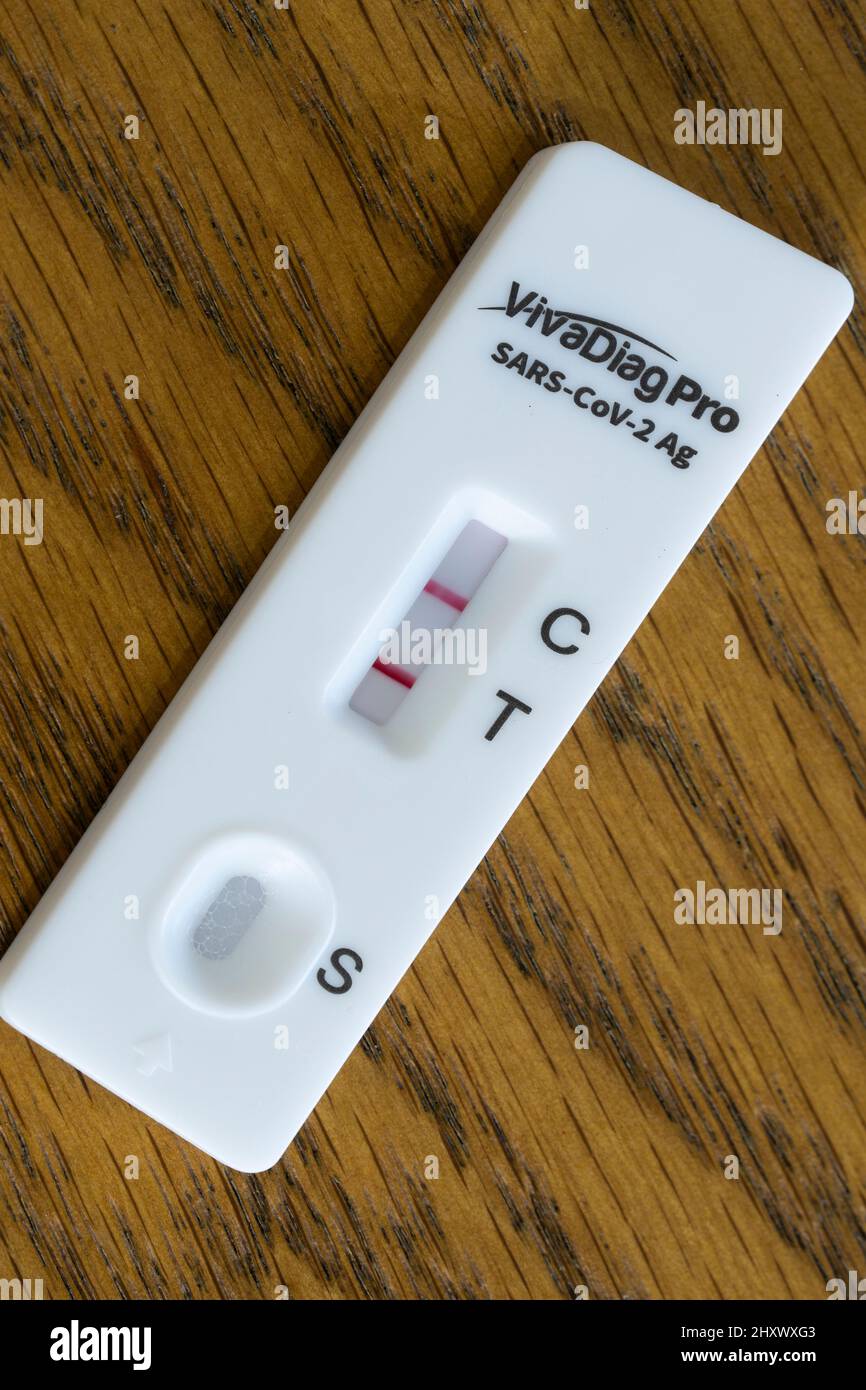 A positive rapid lateral flow test strip with two red lines for SARS-Cov-2 (Covid-19) confirming the presence of Coronavirus on the test swab. England Stock Photo