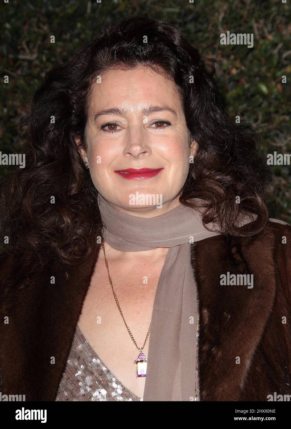 Sean Young at the 3rd Annual Governors Ball, Los Angeles Stock Photo