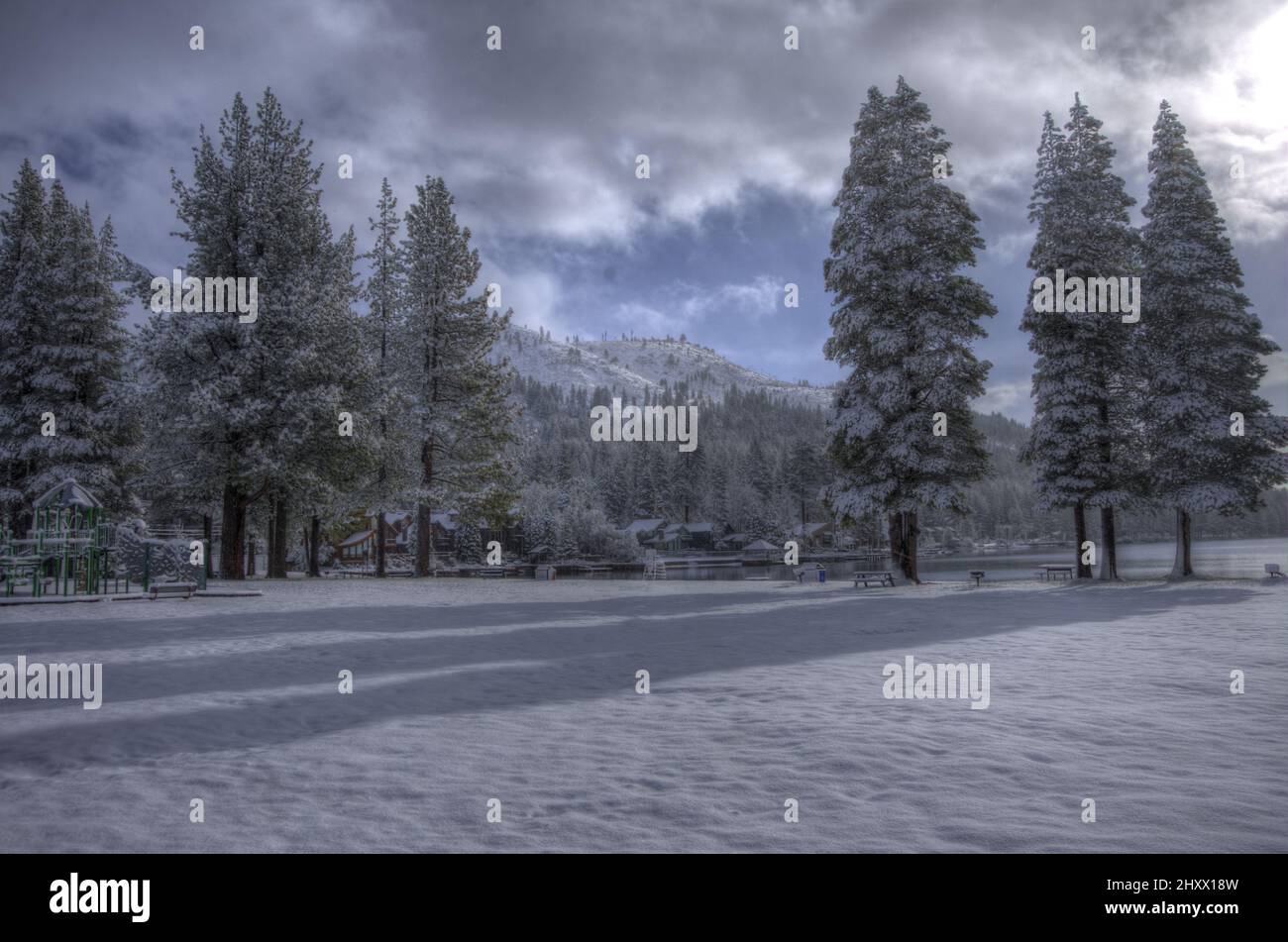 Fantastic view of a park , trees and the mountain covered snow near the ...