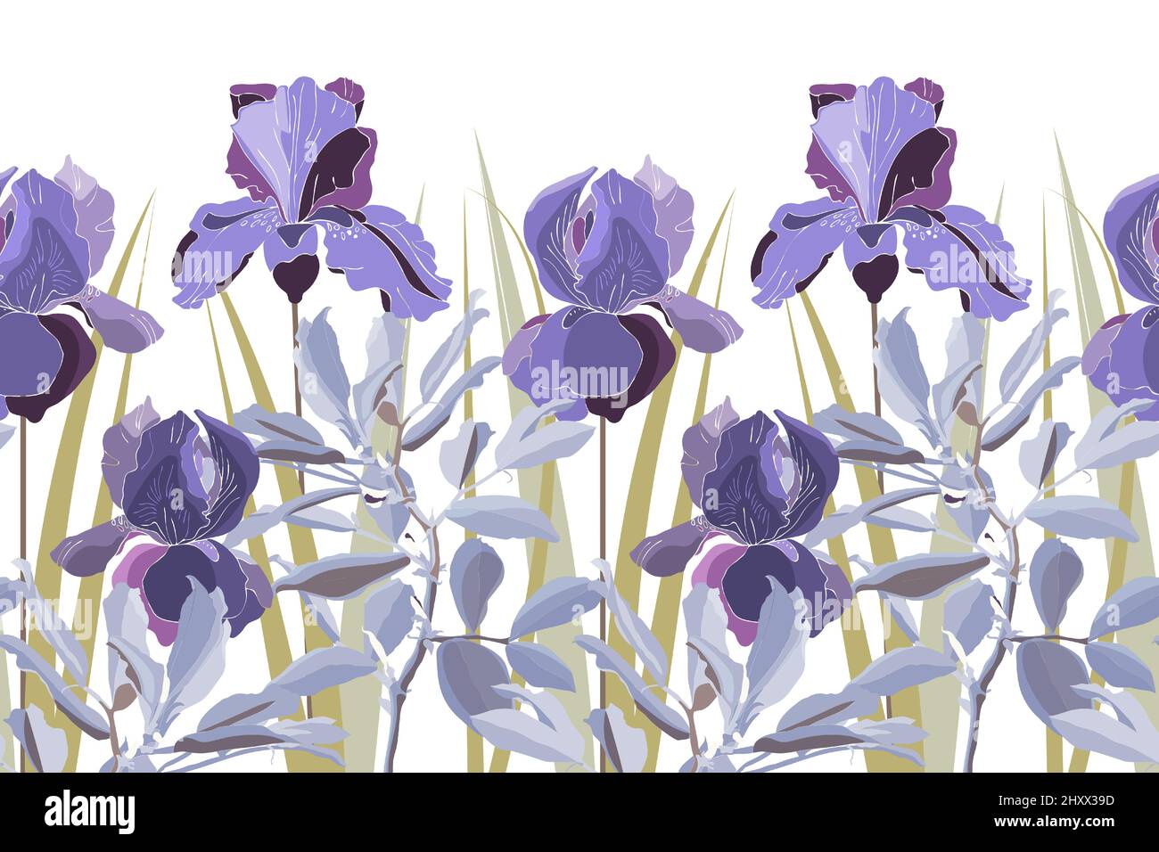 Vector floral seamless pattern, border. Horizontal panoramic illustration with lilac iris flowers. Stock Vector