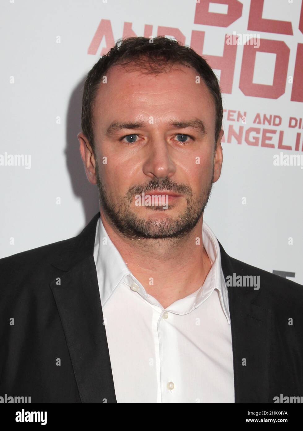 Aleksandar Djurica during the premiere of 'In the Land of Blood and ...