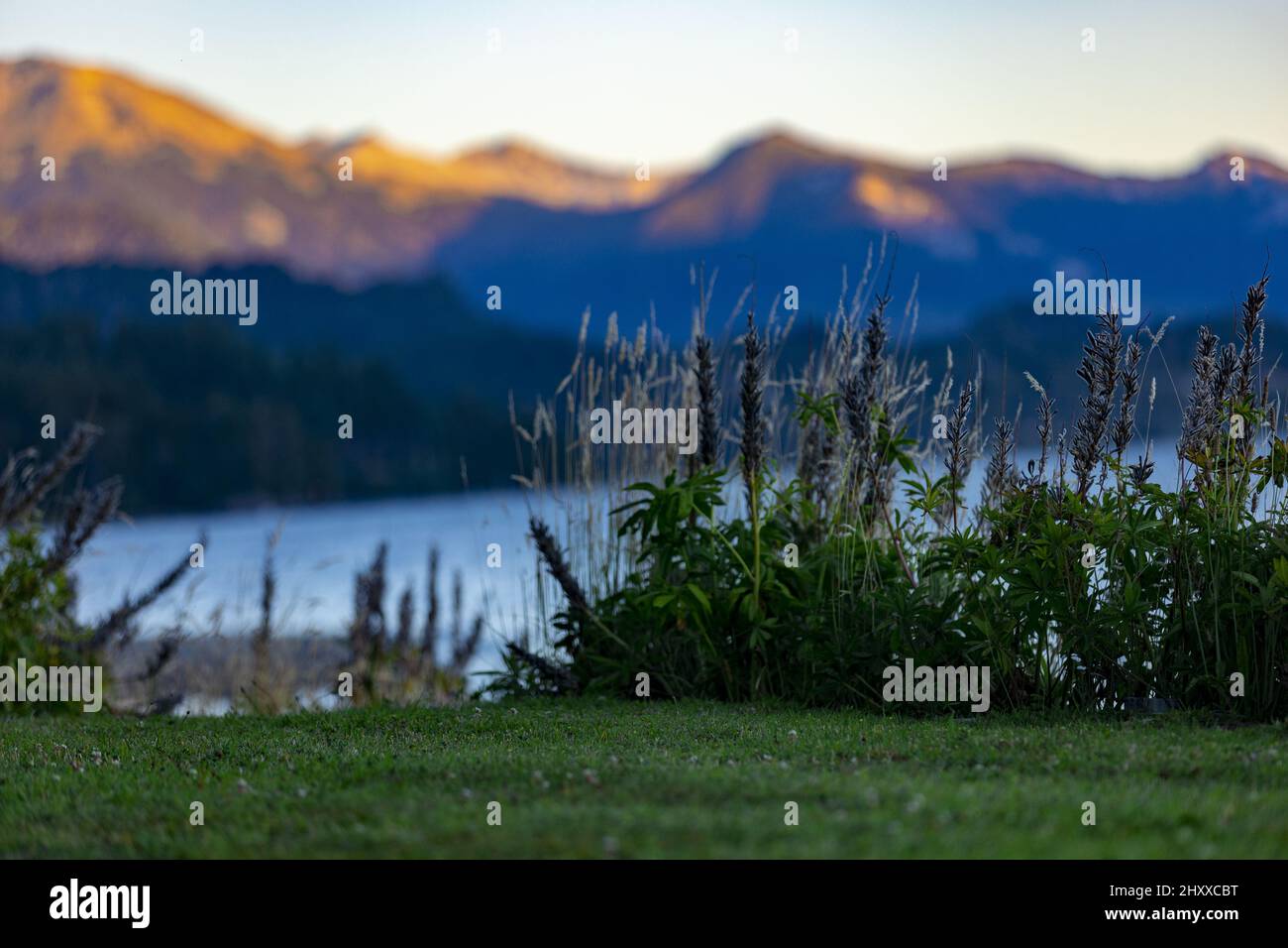 Parque nacional flora hi-res stock photography and images - Alamy