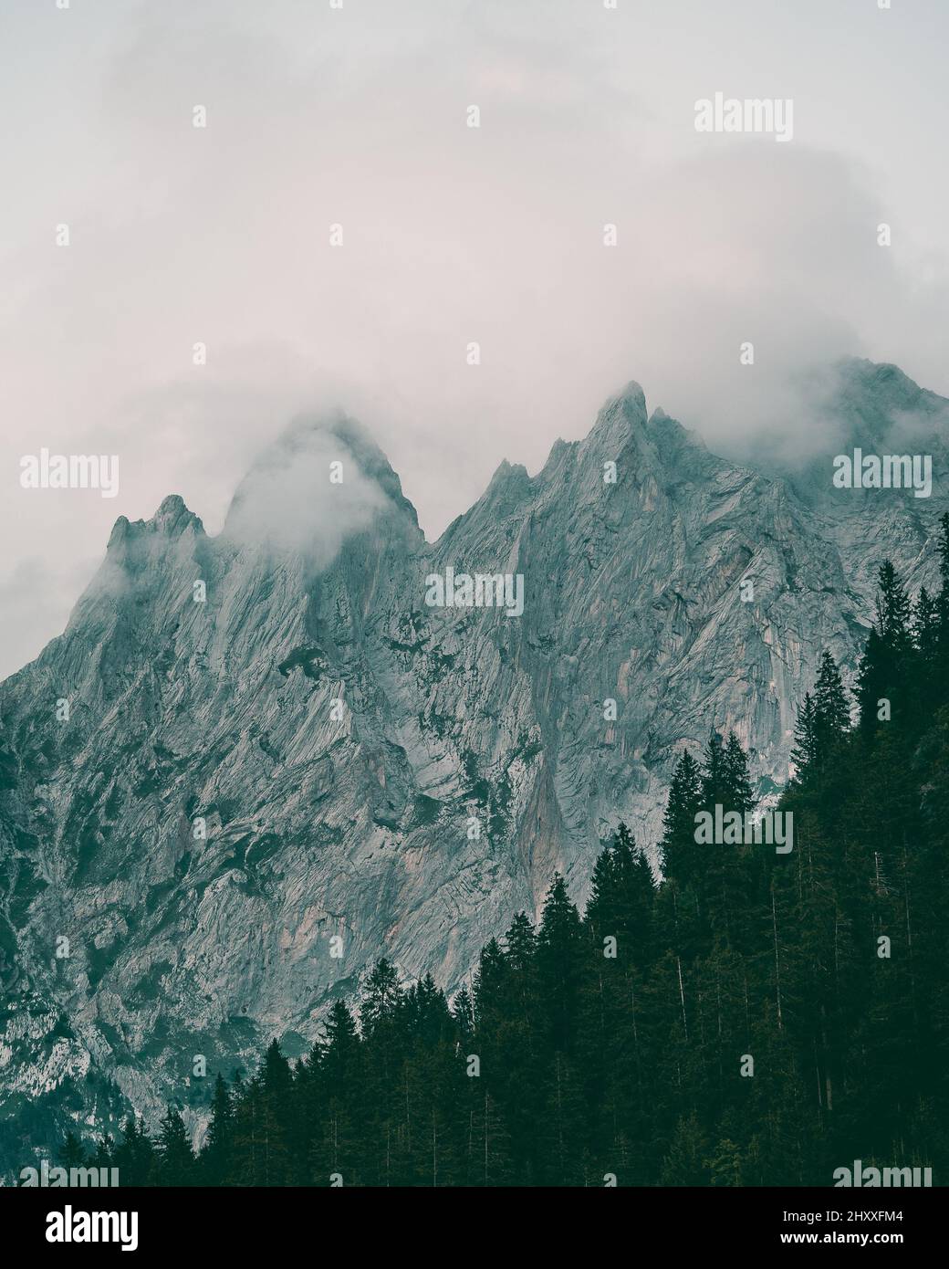 Vertical shot of the snowy mountains with the forest on the slope in a ...