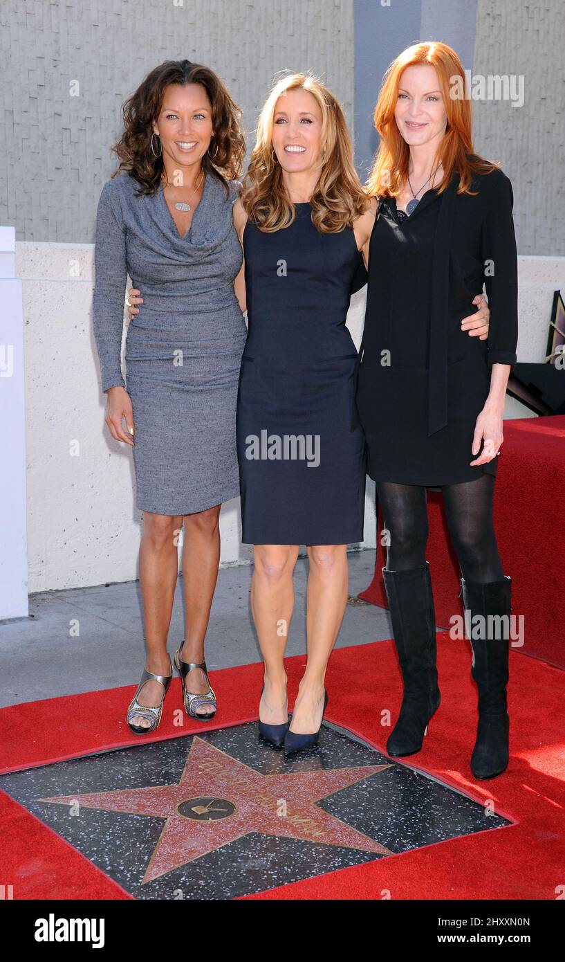Vanessa L. Williams, Felicity Huffman and Marcia Cross during the Hollywood Walk of Fame Star Ceremony, California Stock Photo
