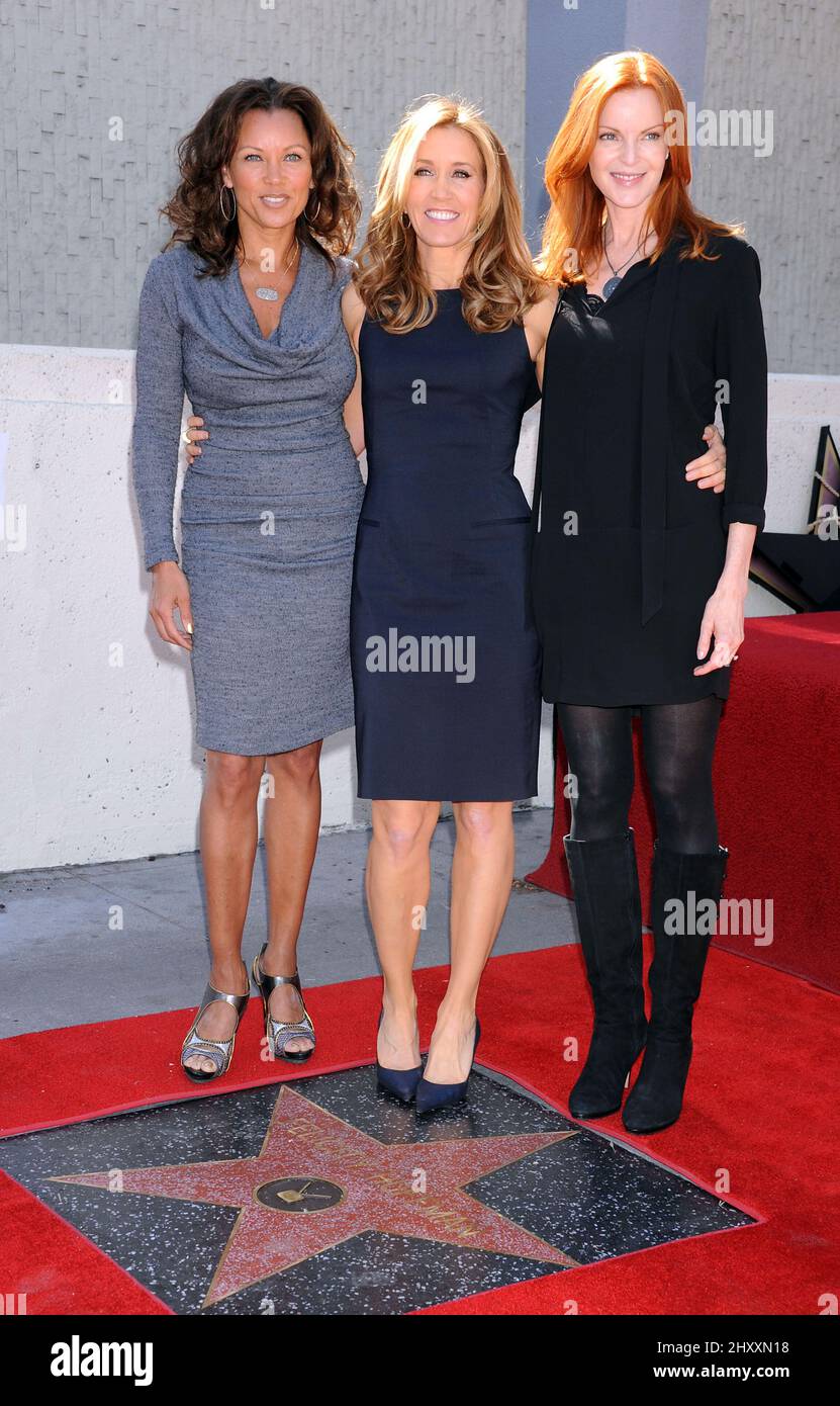 Vanessa L. Williams, Felicity Huffman and Marcia Cross during the Hollywood Walk of Fame Star Ceremony, California Stock Photo