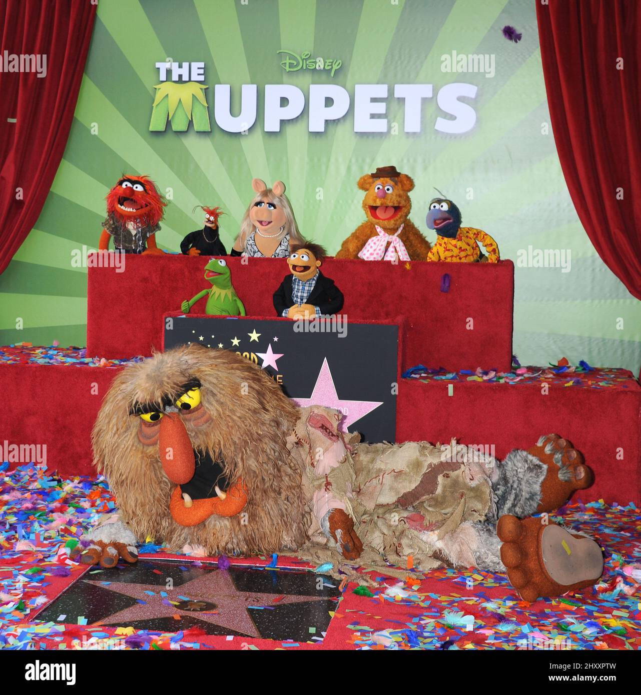 The Muppets, Animal, Pepe, Miss Piggy, Fozzie, Gonzo, Kermit, Walter and Sweetums at The Muppets Hollywood Walk of Fame Star Ceremony in Los Angeles Stock Photo