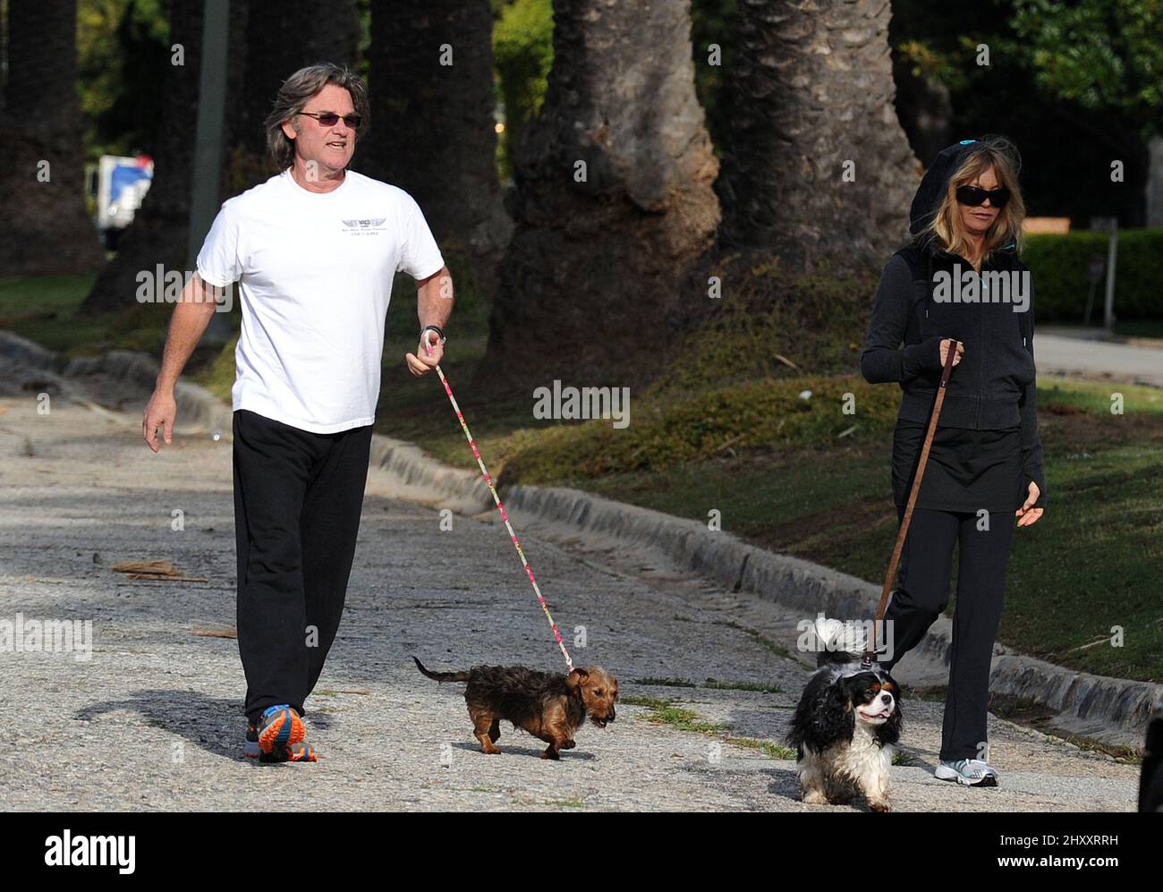 Kurt russell terrier 2025