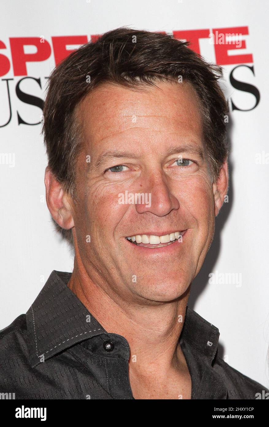 James Denton attending the "Desperate Housewives" finale party held at