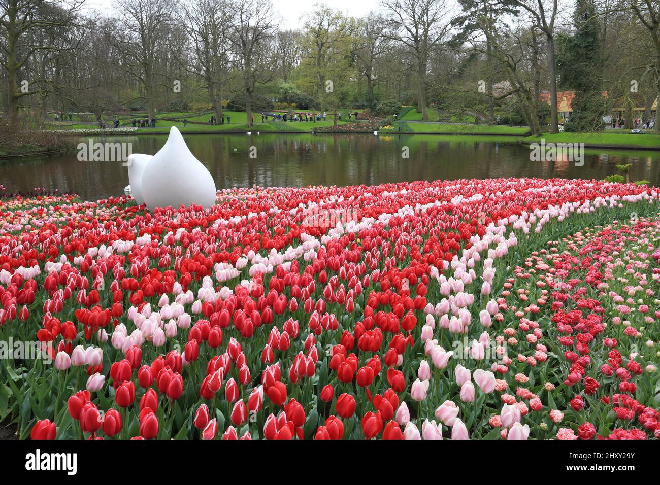 Flowers in bloom at the 63rd Annual Spring Opening of the Keukenhof Flower Park at the Keukenhof